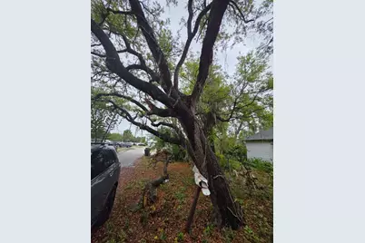 6010 S 4th Street, Tampa, FL 33611 - Photo 12