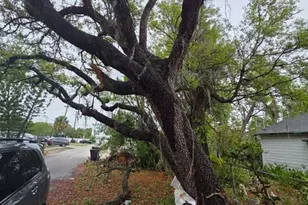 6010 S 4th St, Tampa, FL 33611 - Photo 12