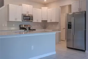 17711 Nectar Flume Dr, Land O Lakes, FL 34638 - Photo 2