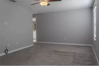 17711 Nectar Flume Drive, Land O Lakes, FL 34638 - Photo 12