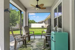31486 Tansy Bnd, Wesley Chapel, FL 33545 - Photo 40