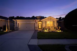 31486 Tansy Bnd, Wesley Chapel, FL 33545 - Photo 1