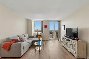 4015 Bayshore Blvd, Tampa, FL 33611 - Photo 12