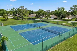 11303 Clear Oak Cir, New Port Richey, FL 34654 - Photo 92