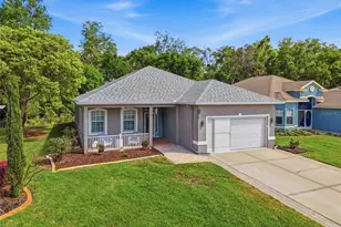 11303 Clear Oak Cir, New Port Richey, FL 34654 - Photo 1