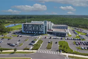 17608 Nectar Flume Dr, Land O Lakes, FL 34638 - Photo 56