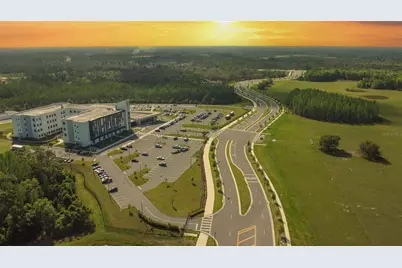 17608 Nectar Flume Drive, Land O Lakes, FL 34638 - Photo 60