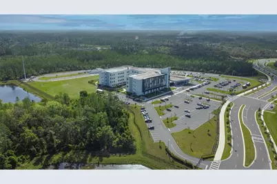 17608 Nectar Flume Drive, Land O Lakes, FL 34638 - Photo 58