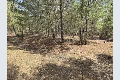 206 Wales Street, Interlachen, FL 32148 - Photo 12