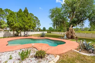 17648 Nathans Dr, Tampa, FL 33647 - Photo 42