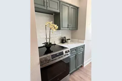 6919 Place De La Paix #6919, Saint Petersburg, FL 33707 - Photo 4