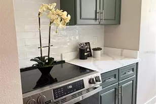 6919 Place De La Paix, Saint Petersburg, FL 33707 - Photo 4