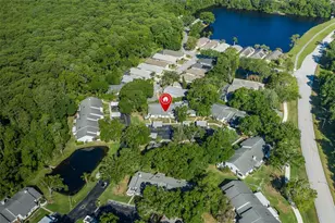 3843 Goldfinch Ct, Palm Harbor, FL 34685 - Photo 12