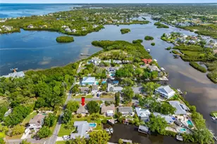 624 Orange St, Palm Harbor, FL 34683 - Photo 50