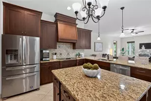 1607 Abyss Dr, Odessa, FL 33556 - Photo 38
