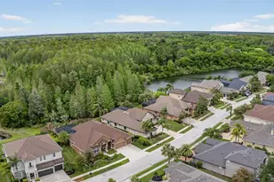 1607 Abyss Dr, Odessa, FL 33556 - Photo 66