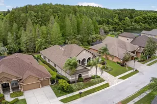 1607 Abyss Dr, Odessa, FL 33556 - Photo 64