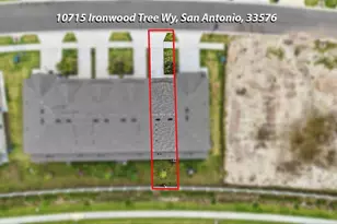 10715 Ironwood Tree Wy, San Antonio, FL 33576 - Photo 52