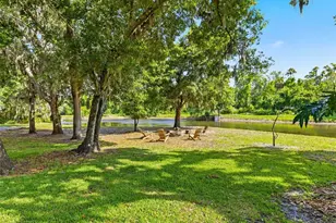 6121 Avocetridge Dr, Lithia, FL 33547 - Photo 38
