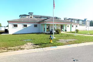 3843 Chris Dr, Wesley Chapel, FL 33543 - Photo 26