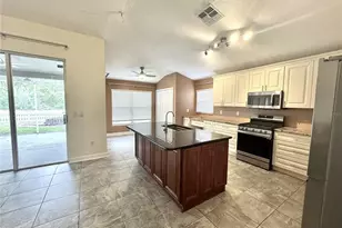 30630 Nickerson Loop, Wesley Chapel, FL 33543 - Photo 16