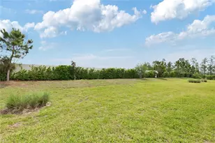 5997 Shorebird Br, Land O Lakes, FL 34638 - Photo 26
