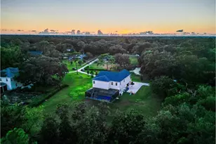 2890 Alexandria Marie Ln, Lutz, FL 33559 - Photo 4