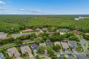 5414 Avenal Dr, Lutz, FL 33558 - Photo 56