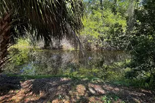 12302 Cobble Stone Dr, Hudson, FL 34667 - Photo 34