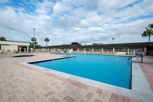 319 Linger Ln, Sun City Center, FL 33573 - Photo 46