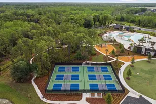 9845 Sword Fern Wy, Land O Lakes, FL 34637 - Photo 60