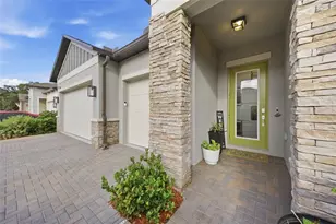 9845 Sword Fern Wy, Land O Lakes, FL 34637 - Photo 4
