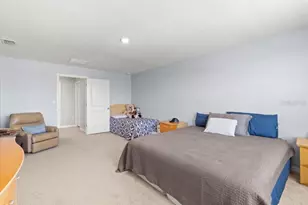 5439 Logan Cave Ave, Wimauma, FL 33598 - Photo 16