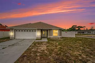 11647 Zimmerman Rd, Port Richey, FL 34668 - Photo 30