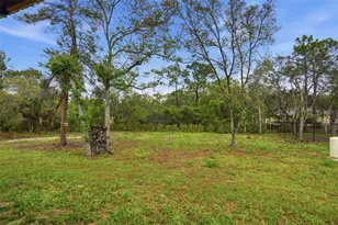 12223 Peregrine Falcon Ave, Weeki Wachee, FL 34614 - Photo 56