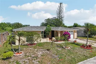 1714 Springdale Dr, Holiday, FL 34691 - Photo 2