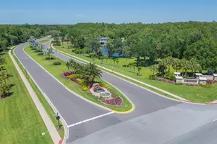 3516 Shadowood Dr, Valrico, FL 33596 - Photo 54