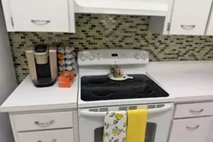 3301 Crystal Ct E, Palm Harbor, FL 34685 - Photo 14