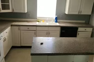 26739 Foamflower Blvd, Wesley Chapel, FL 33544 - Photo 4