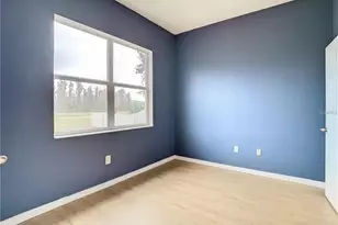 10918 Ancient Futures Dr, Tampa, FL 33647 - Photo 8