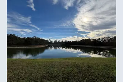 2808 Conch Hollow Drive, Brandon, FL 33511 - Photo 2