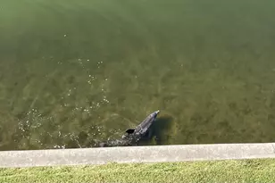 8800 Bay Pines Blvd, Saint Petersburg, FL 33709 - Photo 28