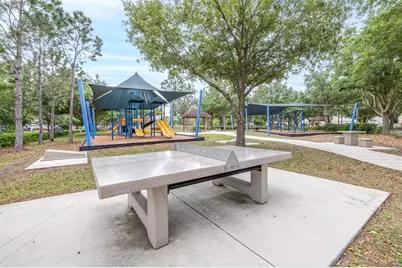 21827 Billowy Jaunt Drive, Land O Lakes, FL 34637 - Photo 60