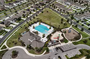 4321 Globe Thistle Dr, Tampa, FL 33619 - Photo 54