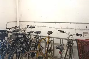 1806 Mariner Dr, Tarpon Springs, FL 34689 - Photo 56