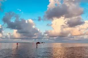 1806 Mariner Dr, Tarpon Springs, FL 34689 - Photo 80