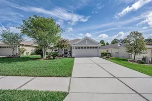 3054 Banyan Hill Ln, Land O Lakes, FL 34639 - Photo 1