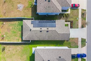 10918 Trailing Vine Dr, Tampa, FL 33610 - Photo 34