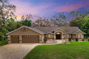 18602 Winding Oaks Blvd, Hudson, FL 34667 - Photo 1