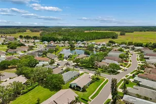 11539 Weaver Park Ct, Trinity, FL 34655 - Photo 32